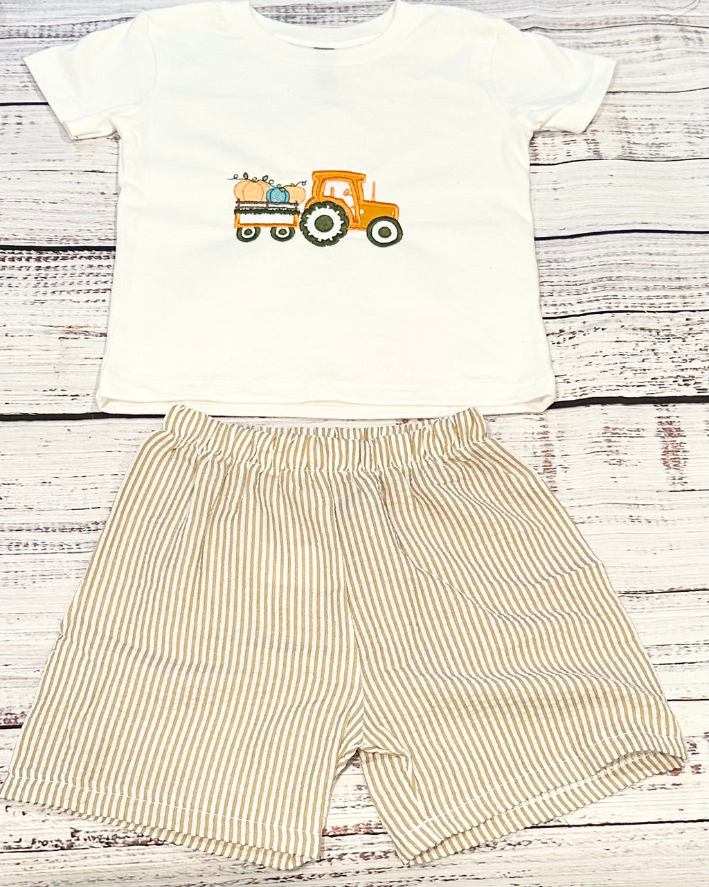 Boys pumpkin short and shirt set