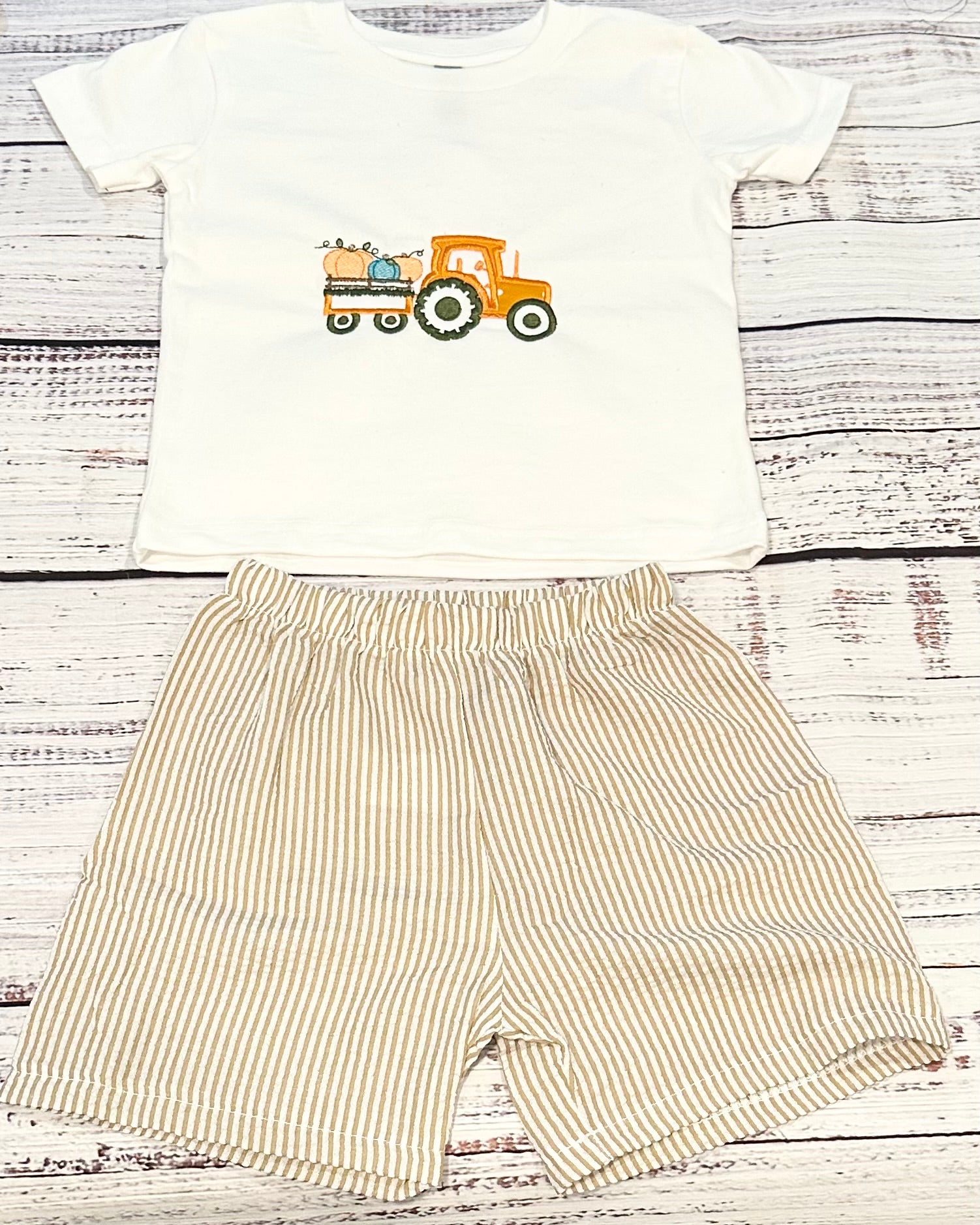 Boys pumpkin short and shirt set