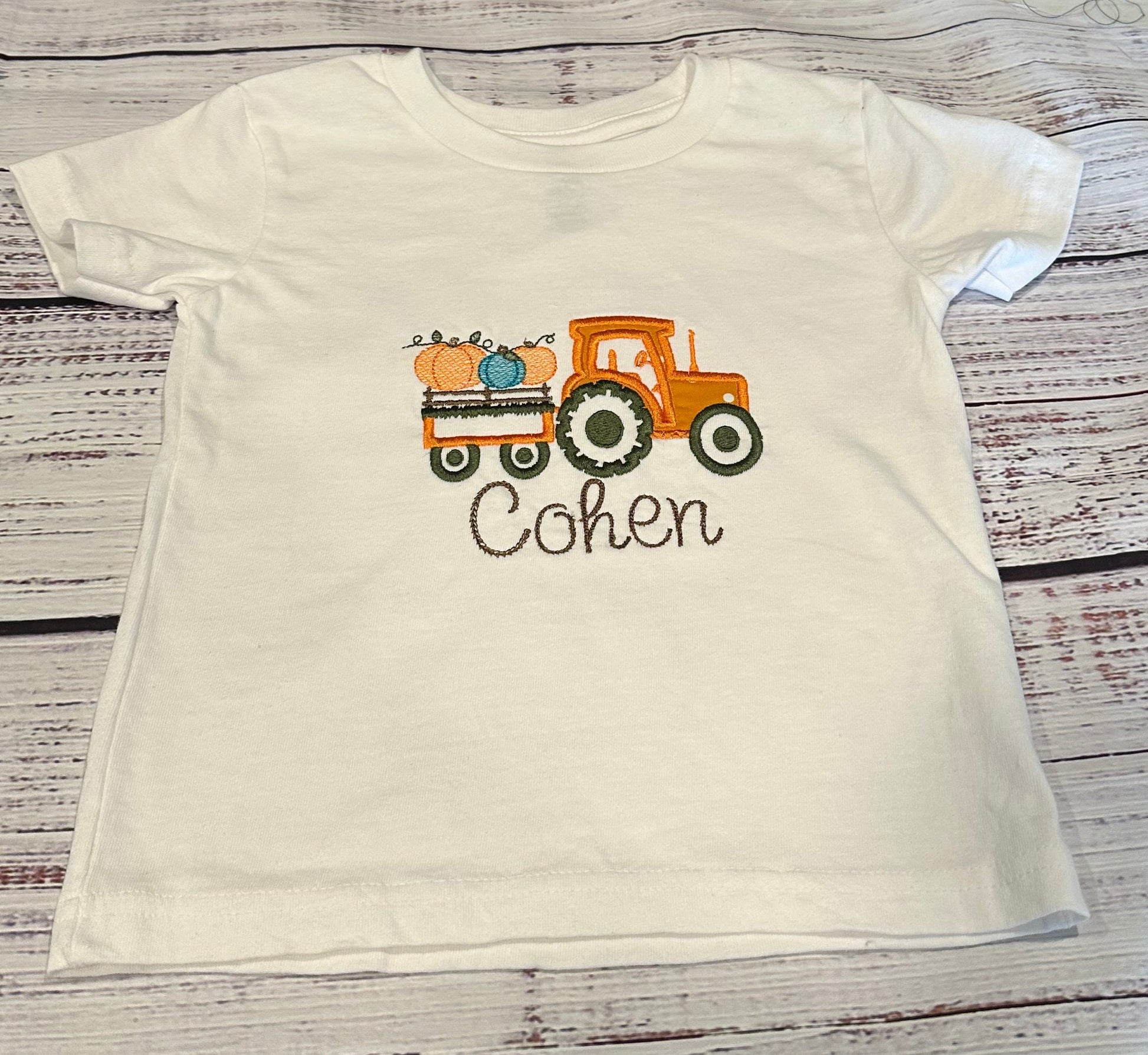 Boys pumpkin short and shirt set